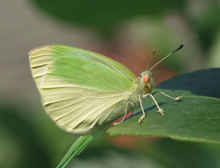 Photoshop Design by Monkeyknife for DesignCrowd (Community Contests) | Design #9104574