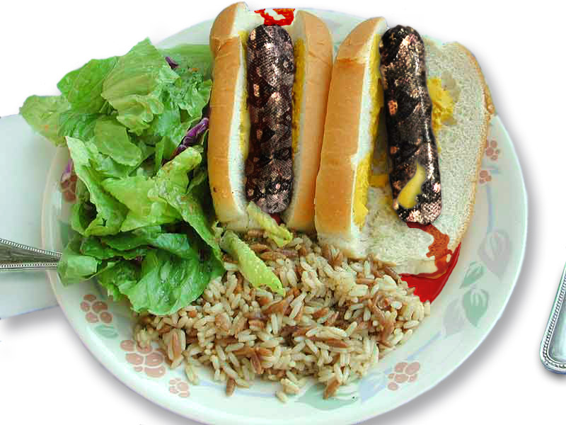 Photoshop-Design von crodeman für DesignCrowd (Community Contests) | Design #9123846