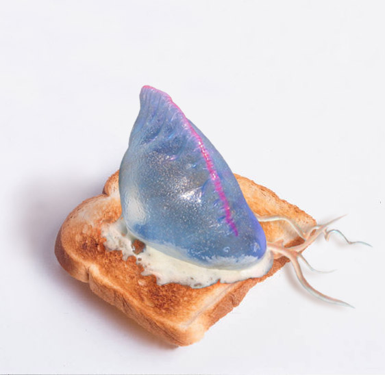 Design Photoshop par rentabeast pour DesignCrowd (Community Contests) | Design #9123799