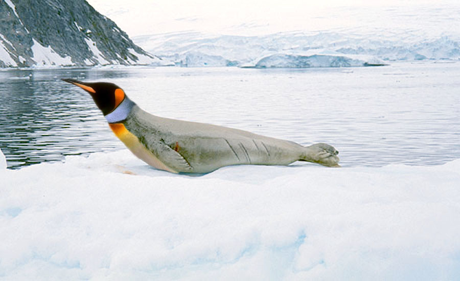 Photoshop-Design von dnowhat für DesignCrowd (Community Contests) | Design #9104547