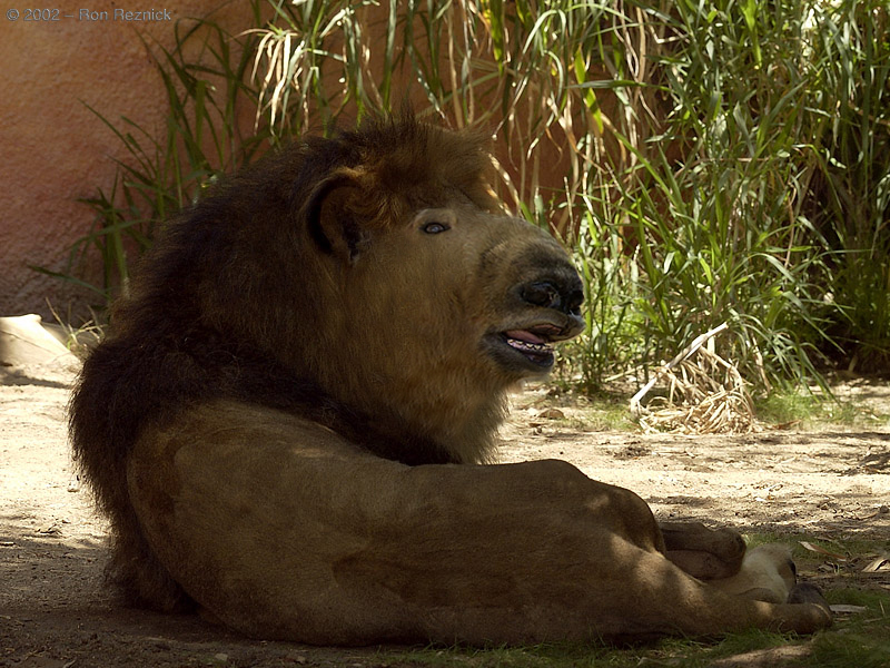 Photoshop Design by KULDABOLI for DesignCrowd (Community Contests) | Design #9104630