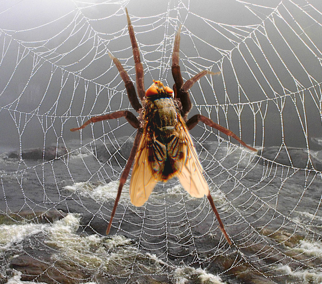 Photoshop Design by samo02 for DesignCrowd (Community Contests) | Design #9104681