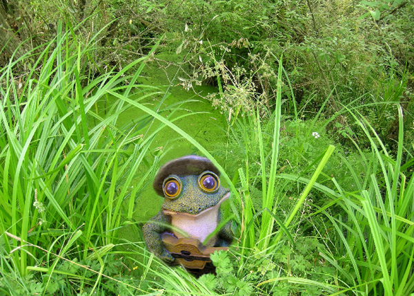 Photographie par blendedfamily pour DesignCrowd (Community Contests) | Design #9122778