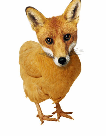 Photoshop-Design von fossil für DesignCrowd (Community Contests) | Design #9104627