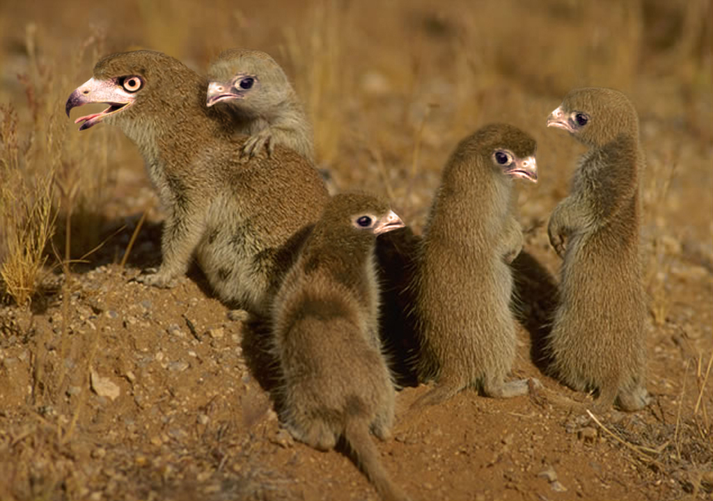 Photoshop-Design von sylver für DesignCrowd (Community Contests) | Design #9104672