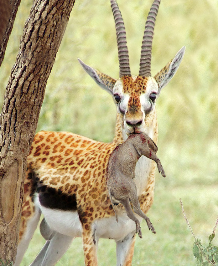 Photoshop Design by Redbull_UK for DesignCrowd (Community Contests) | Design #9104713