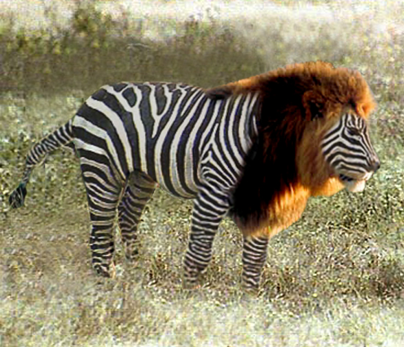 Photoshop Design by duragg for DesignCrowd (Community Contests) | Design #9104732