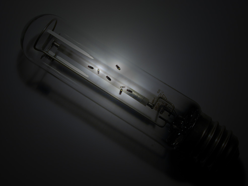 Photoshop-Design von ebilsoki für DesignCrowd (Community Contests) | Design #9127771