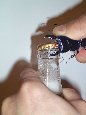 Photoshop Design by Dragon60 for DesignCrowd (Community Contests) | Design #9127812