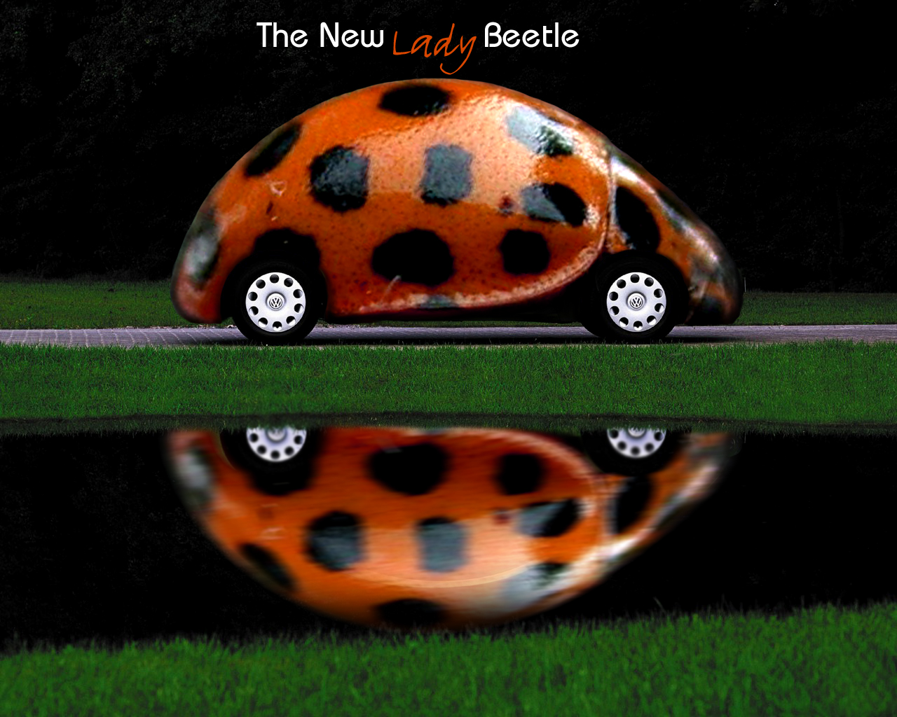 Photoshop Design by thesuper for DesignCrowd (Community Contests) | Design #9127806