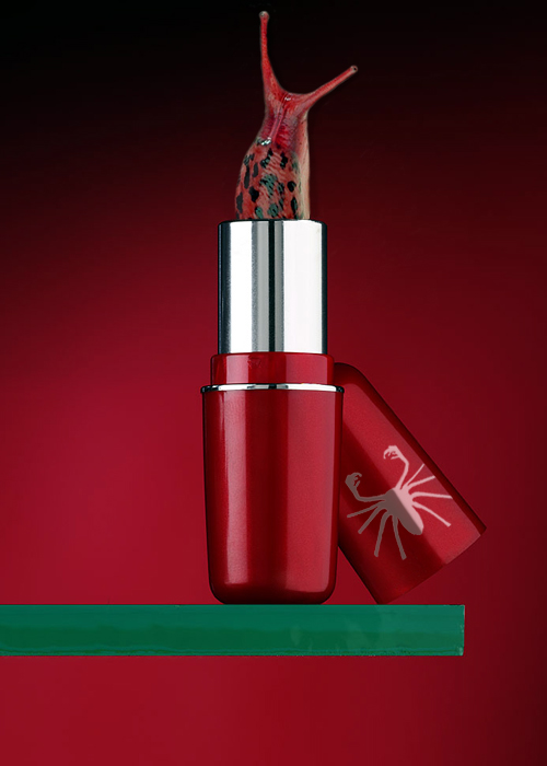 Design Photoshop par chris_ pour DesignCrowd (Community Contests) | Design #9127838