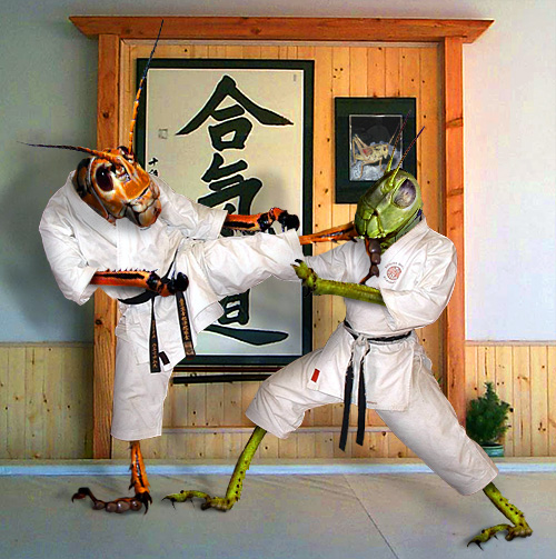 Photoshop Design by fRedline for DesignCrowd (Community Contests) | Design #9127852