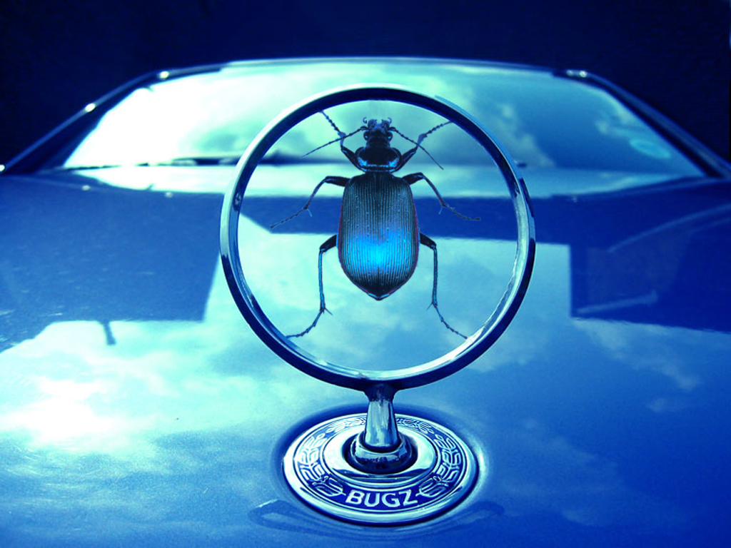 Photoshop-Design von sylver für DesignCrowd (Community Contests) | Design #9127914