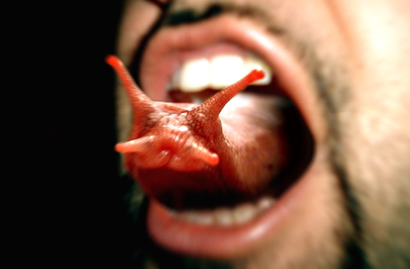 Design Photoshop par DestinationCreation pour DesignCrowd (Community Contests) | Design #9127877