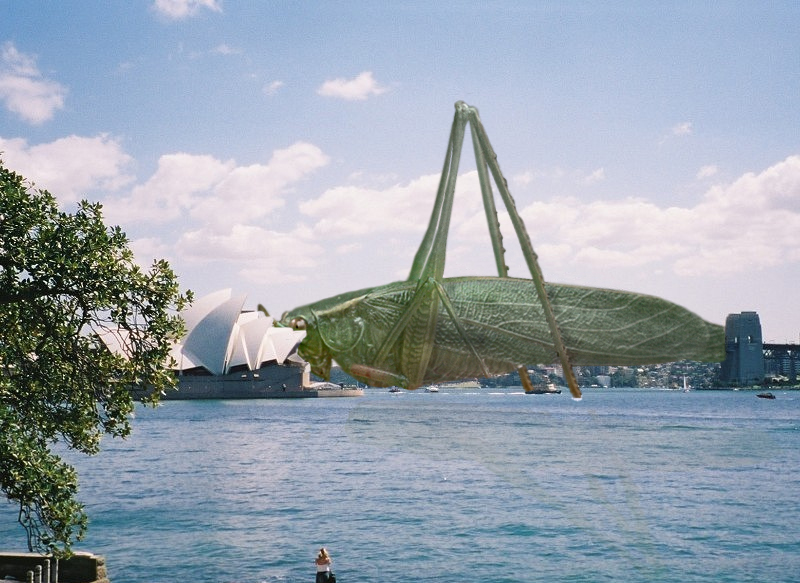 Photoshop Design by Nitehawk for DesignCrowd (Community Contests) | Design #9127959