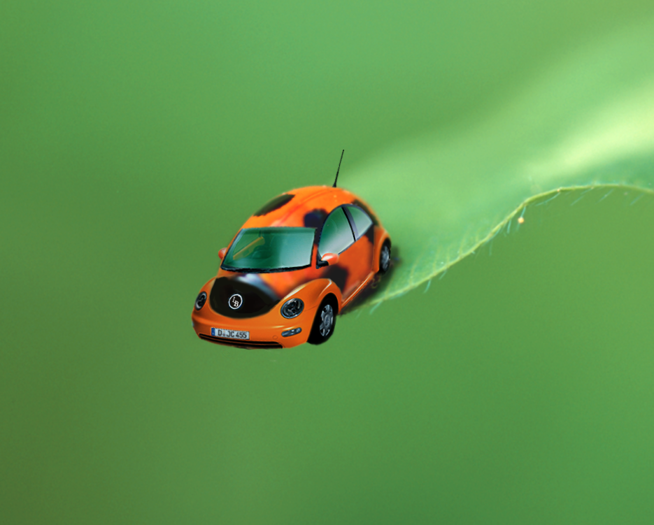 Photoshop Design by Dry_ice for DesignCrowd (Community Contests) | Design #9127954