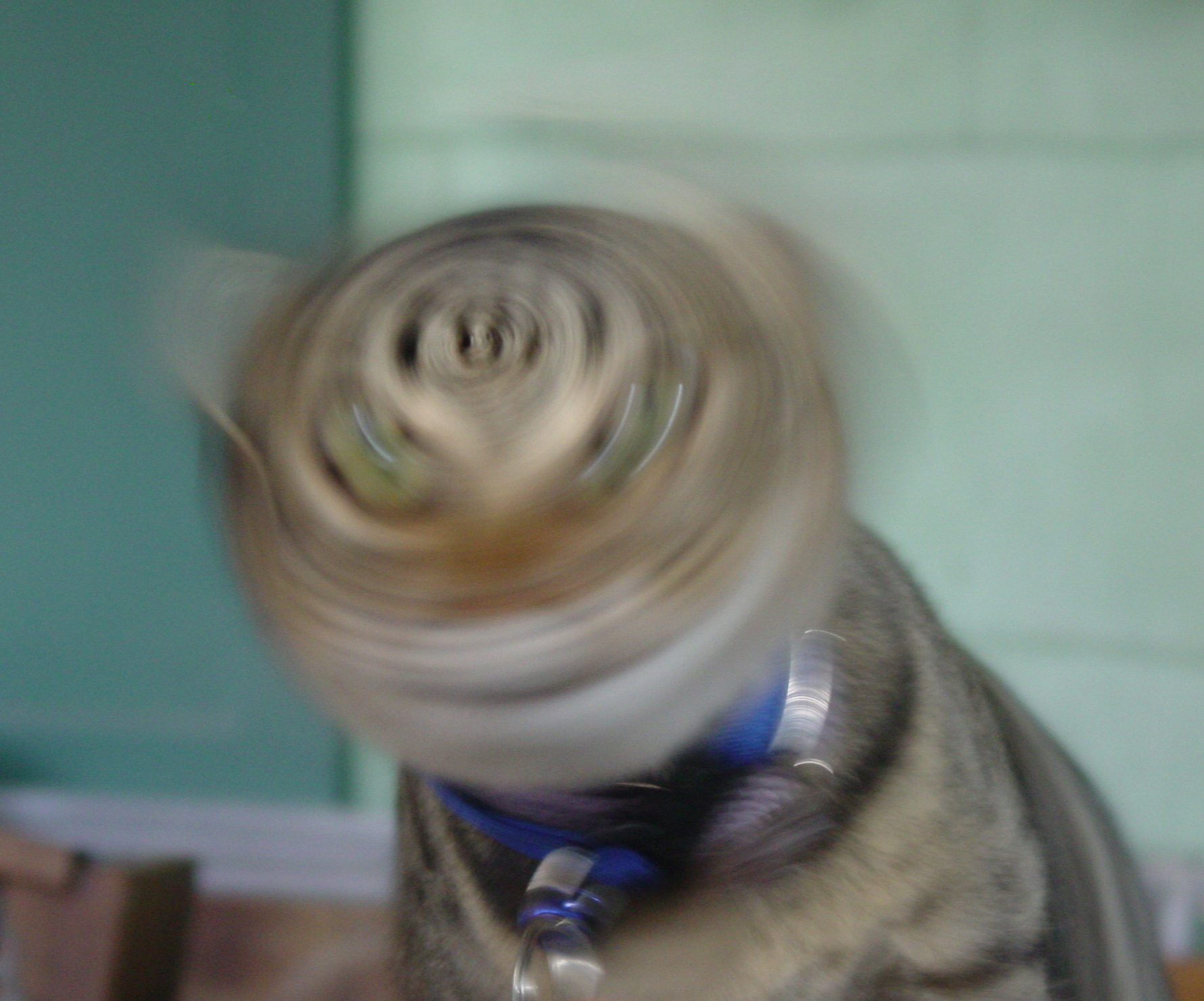 Design Photoshop par Angeldog1 pour DesignCrowd (Community Contests) | Design #9108608