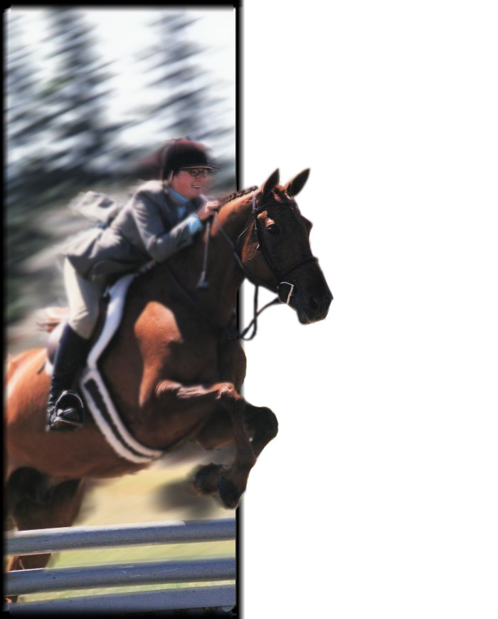 Photoshop Design by NinjaTurtle for DesignCrowd (Community Contests) | Design #9108623