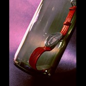 Photography by TampaDroid