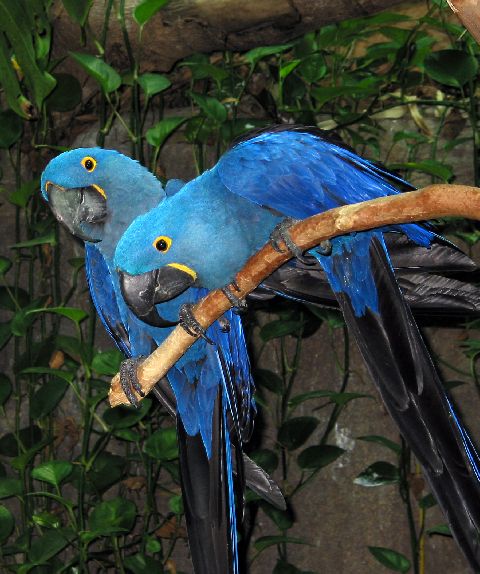 Photography by sns1953 for DesignCrowd (Community Contests) | Design #9109975