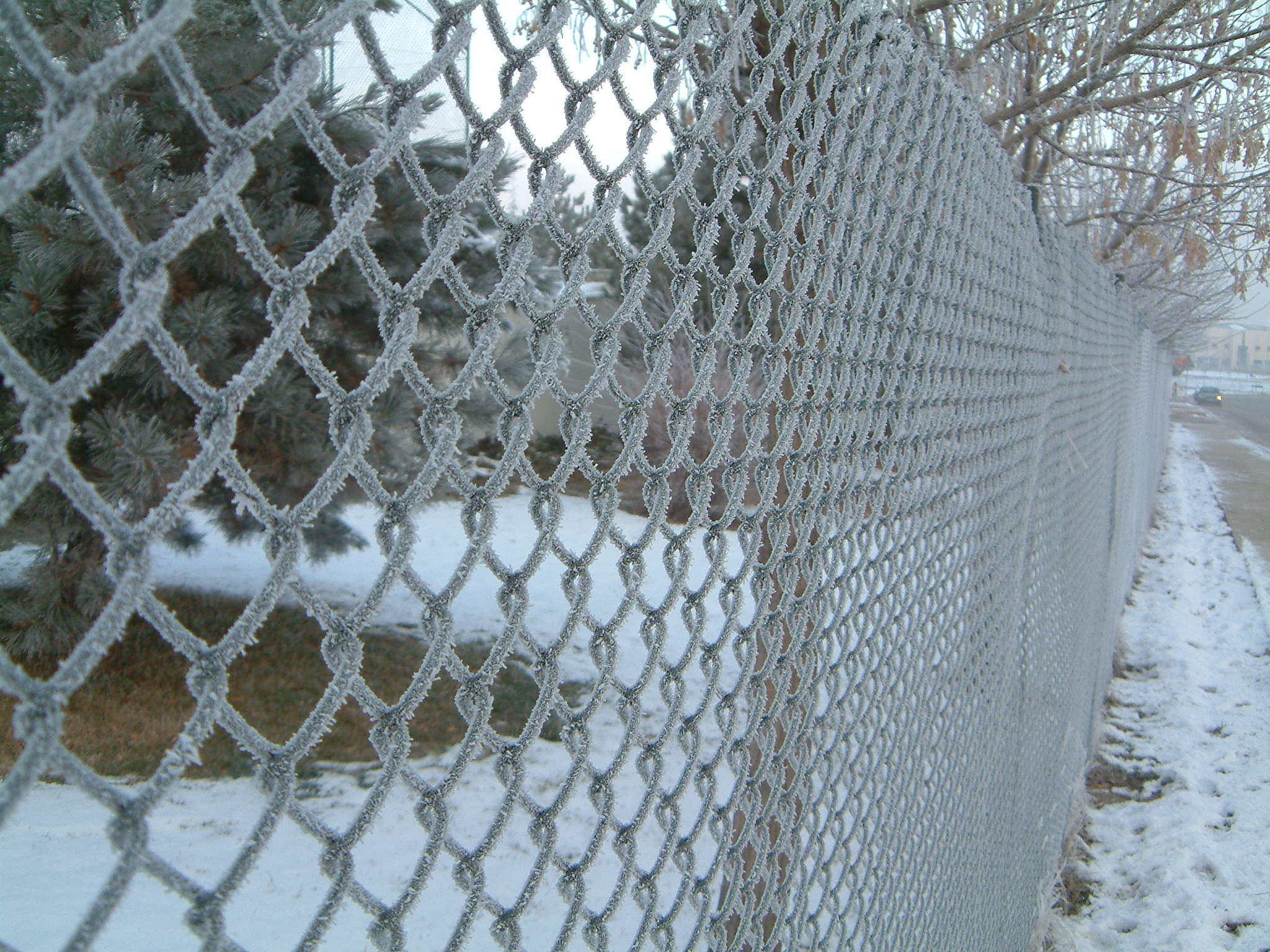 Photography by punjabiw for DesignCrowd (Community Contests) | Design #9123456