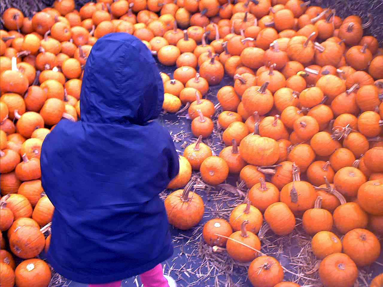 Photography by Caligreal for DesignCrowd (Community Contests) | Design #9123497