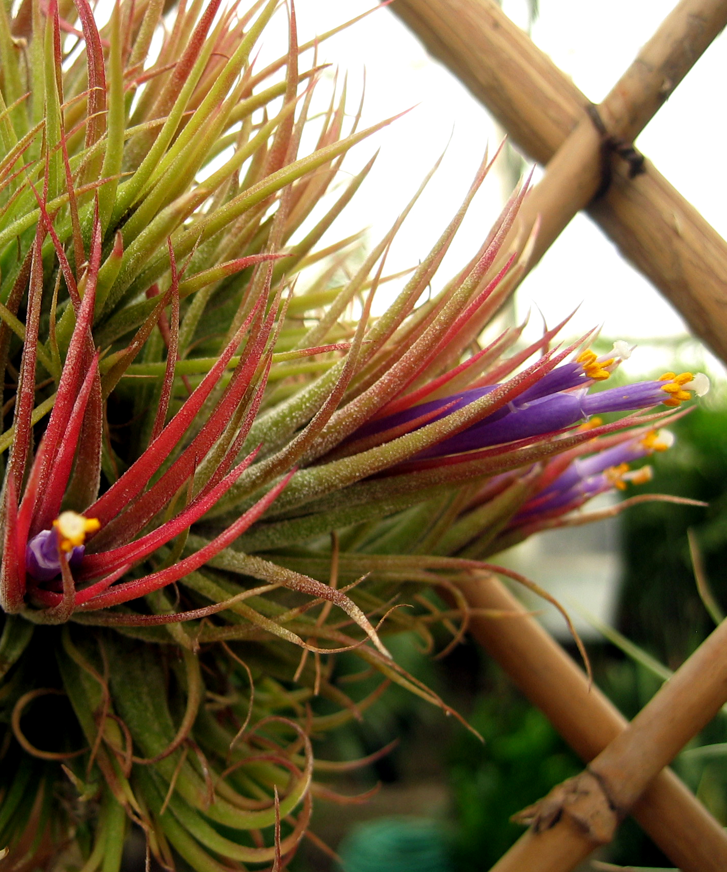 Photography by BlitzMan for DesignCrowd (Community Contests) | Design #9125596