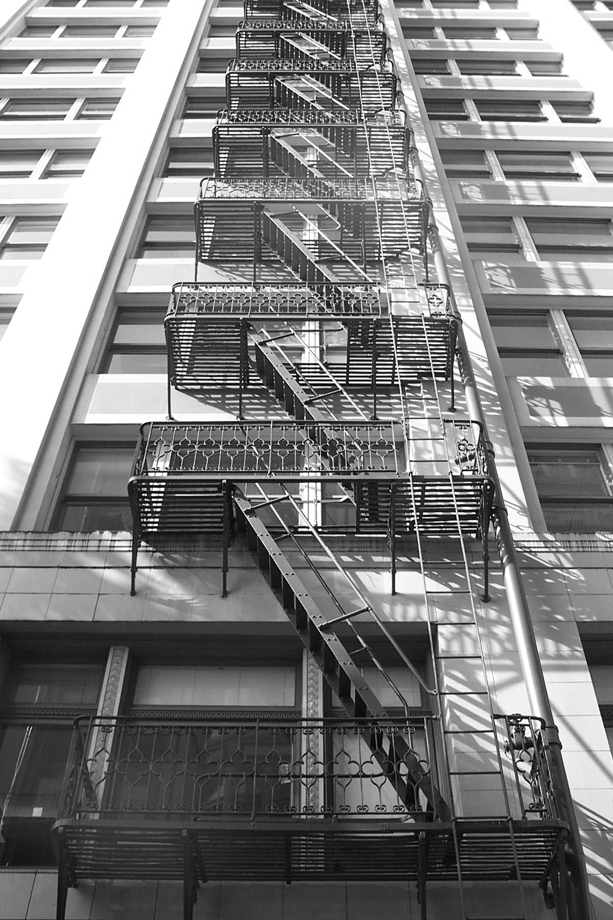 Photography by johnnytitan for DesignCrowd (Community Contests) | Design #9123535