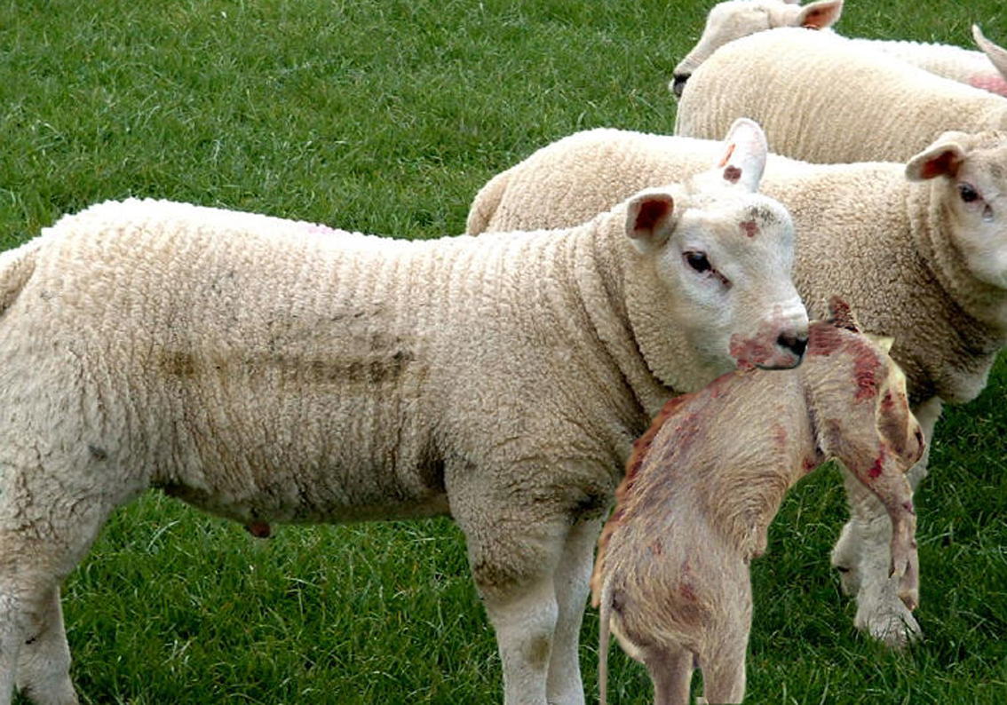 Photoshop Design by jono659 for DesignCrowd (Community Contests) | Design #9127603