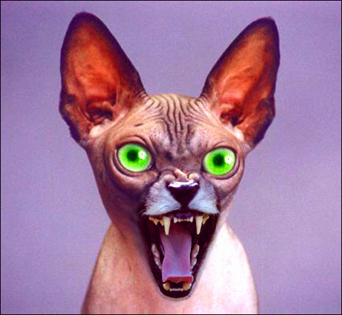 Photoshop Design by nautiq for DesignCrowd (Community Contests) | Design #9127605