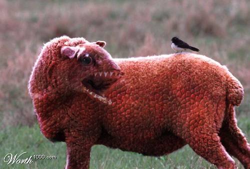 Photoshop Design by WangTang for DesignCrowd (Community Contests) | Design #9127621