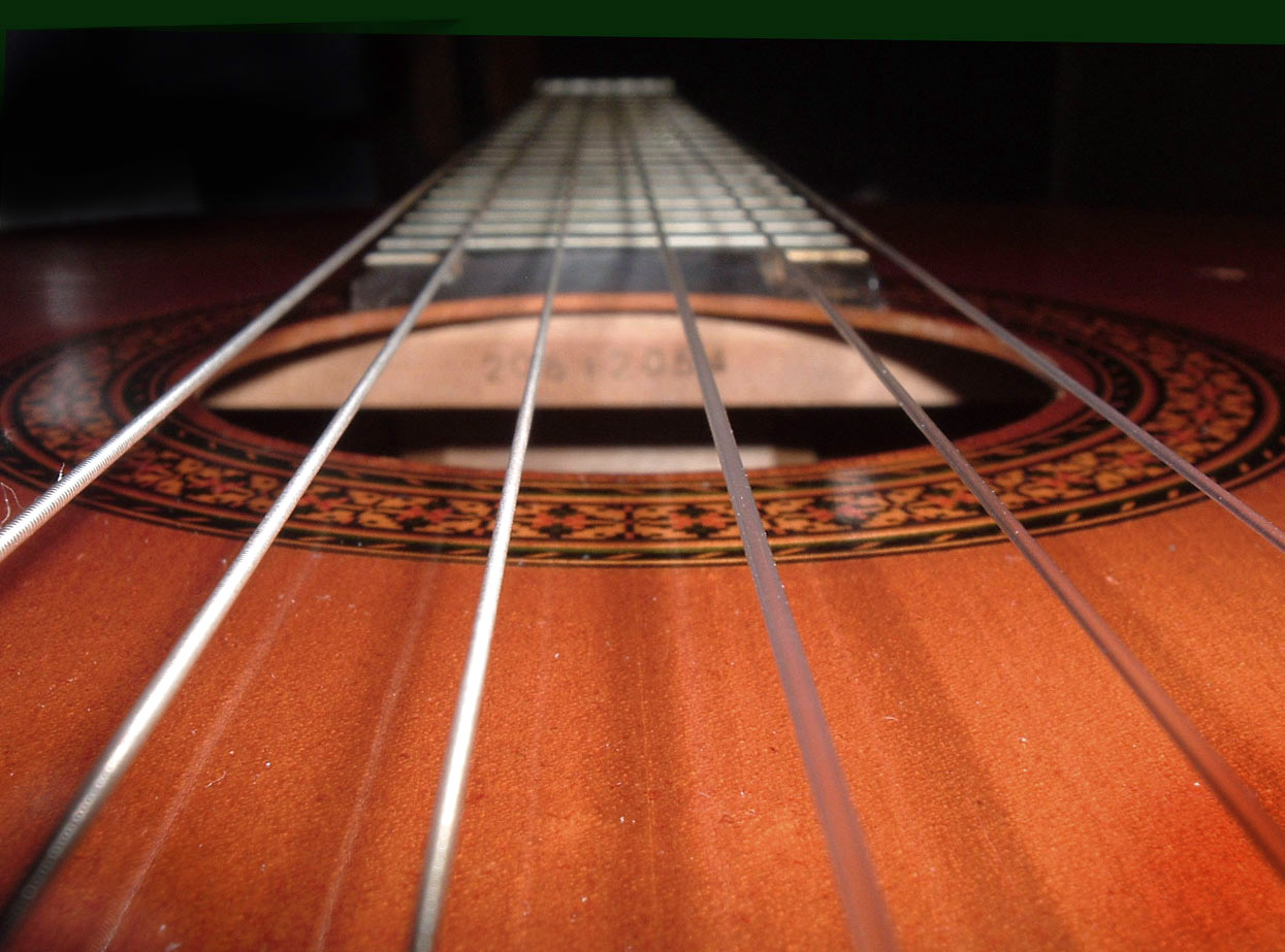 Photography by WillieTheCat for DesignCrowd (Community Contests) | Design #9125636