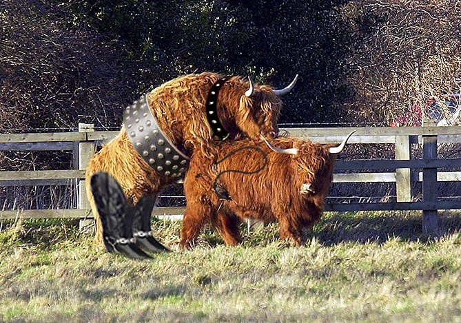 Photoshop Design by ToxicSandpit for DesignCrowd (Community Contests) | Design #9127687