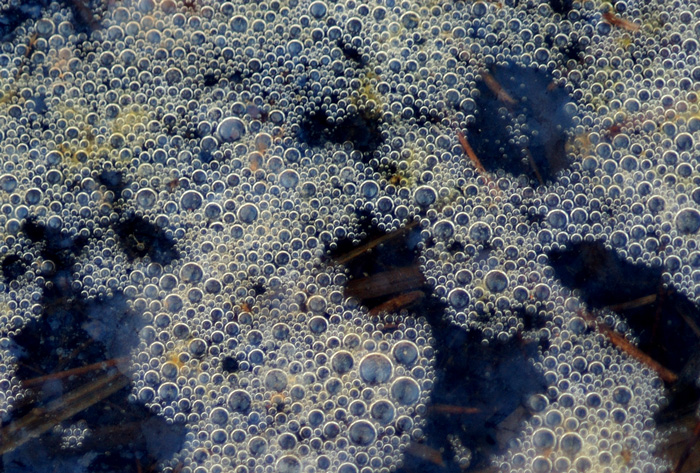 Fotografía por londubh para DesignCrowd (Community Contests) | Diseño #9123726