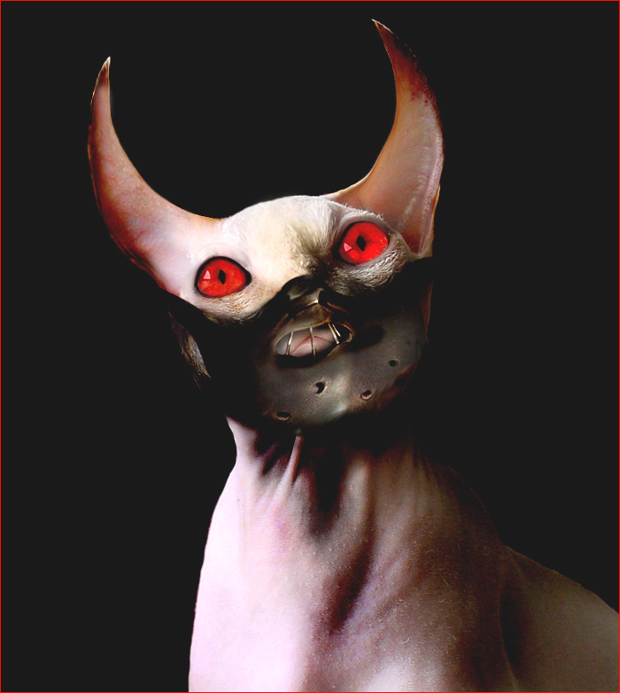 Photoshop-Design von AugixX für DesignCrowd (Community Contests) | Design #9127770