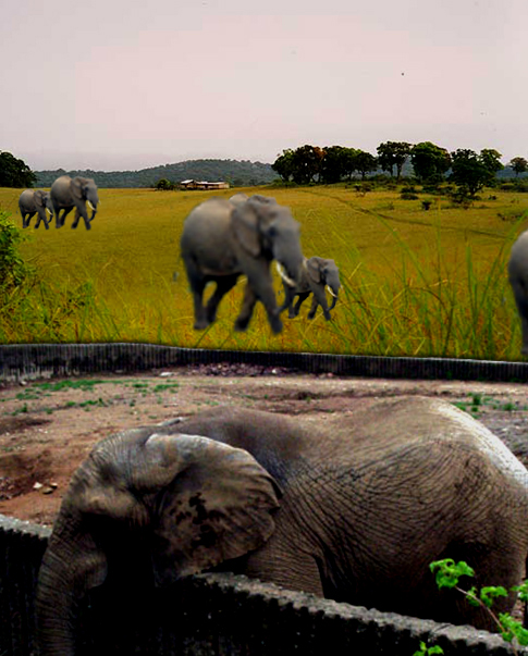 Photoshop Design by Rausto_BANNED for DesignCrowd (Community Contests) | Design #9119008