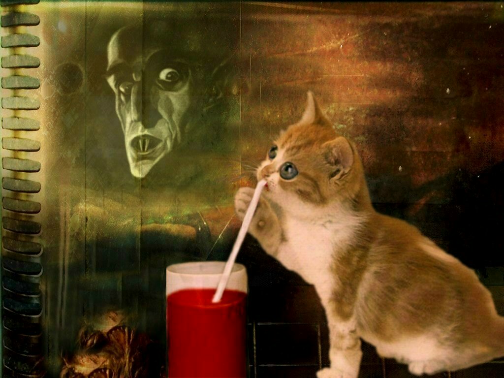 Diseño de Photoshop por sicilybridges para DesignCrowd (Community Contests) | Diseño #9127835