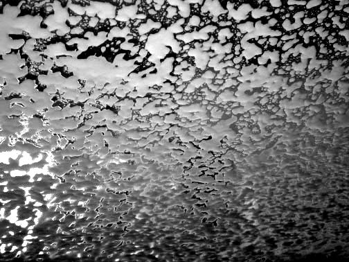 Photography by coopaloop for DesignCrowd (Community Contests) | Design #9123711