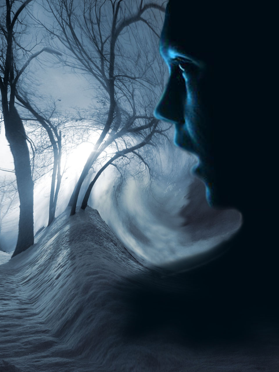 Photoshop Design by whitewhale for DesignCrowd (Community Contests) | Design #9119033