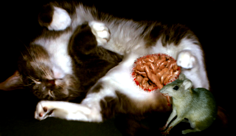 Design Photoshop par DestinationCreation pour DesignCrowd (Community Contests) | Design #9127746