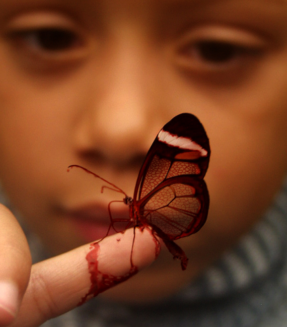 Diseño de Photoshop por wisbin para DesignCrowd (Community Contests) | Diseño #9127714