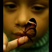 Photoshop Design by wisbin