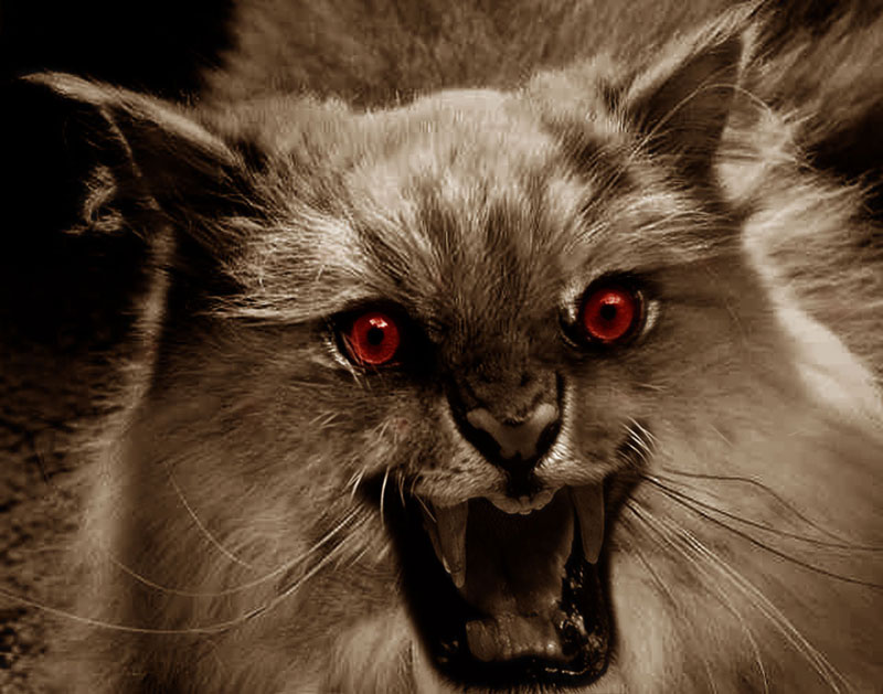 Photoshop Design by Pitinhas for DesignCrowd (Community Contests) | Design #9127762