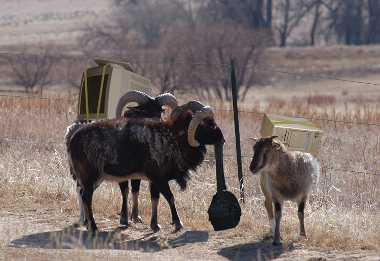 Photoshop-Design von londubh für DesignCrowd (Community Contests) | Design #9127851