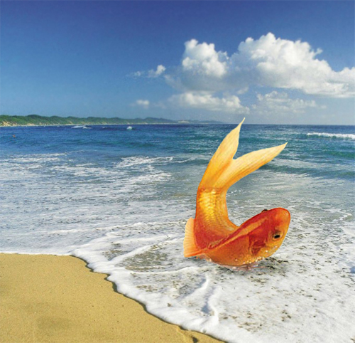 Photoshop Design by wipkip for DesignCrowd (Community Contests) | Design #9119149
