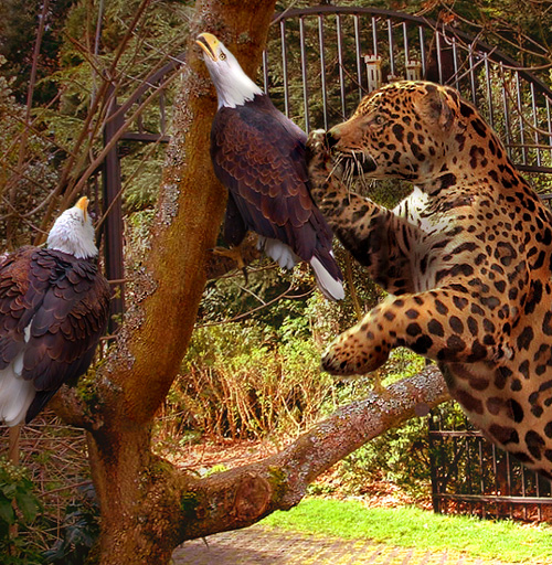 Photoshop-Design von cameon für DesignCrowd (Community Contests) | Design #9119208