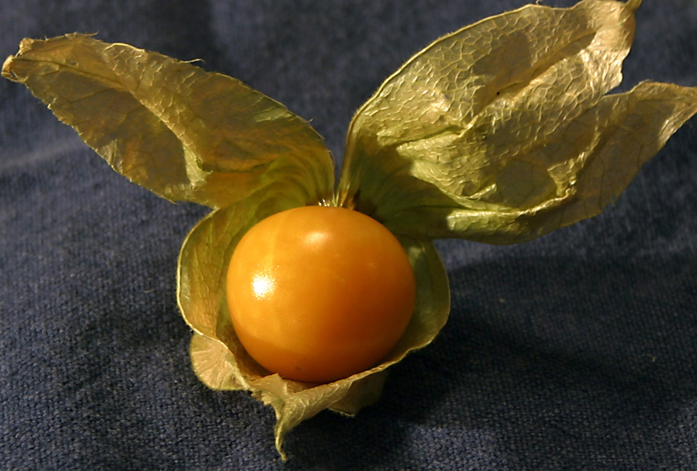 Fotografía por digiteyes para DesignCrowd (Community Contests) | Diseño #9125884