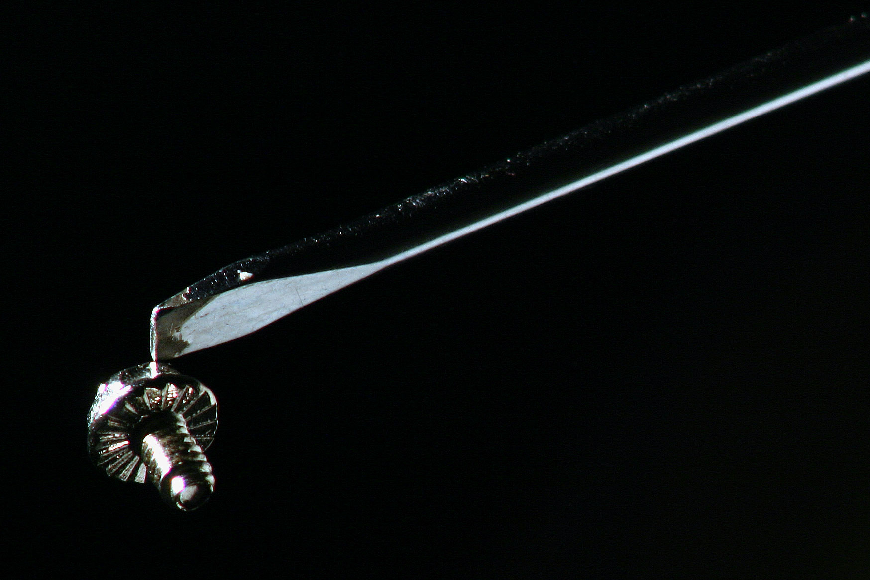 Fotografie von SigloV für DesignCrowd (Community Contests) | Design #9125939