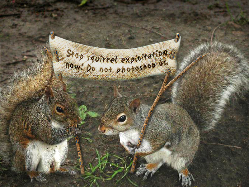 Photoshop Design by blueorb for DesignCrowd (Community Contests) | Design #9107698