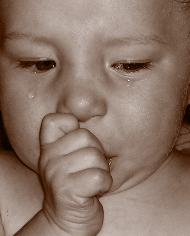 Photography by DaftGretel for DesignCrowd (Community Contests) | Design #9120553